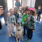 Adopciaki to wspaniałe zwierzaki!