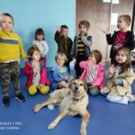 Fundacja dla zwierząt